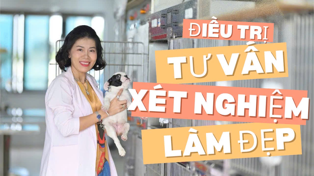PHÒNG KHÁM THÚ Y CITYVET