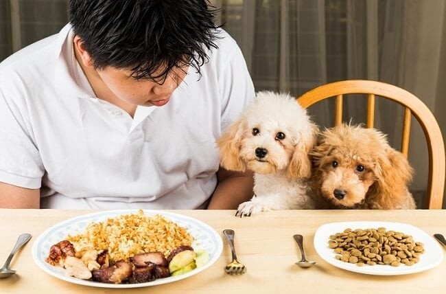 nen-cho-cho-an-com-hay-hat