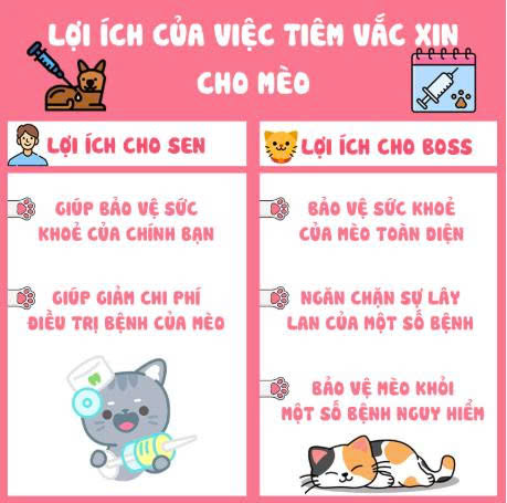 Lịch tiêm ngừa cho mèo con tại Bến Tre – Hướng dẫn chăm sóc và tiêm phòng đúng lịch tải xuống (3)