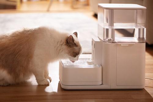 Ol2u5AfjXSbxeuMW7ya-GsEi6mdWuN75bm50rJ62DQz5AHeGuuvQcyNsrMdPJUycffC4f7r-DzGyUsqRQP5cclsuw9PXBctrh4nglf-lkKwjz0WkynVqtfEnVqQ33VO7lADVBLy-sftvcIpFUZqMvrk7vmaPtrewkVHqVh5HxVHrVFyKsz6x74_Rt6SHNlAW